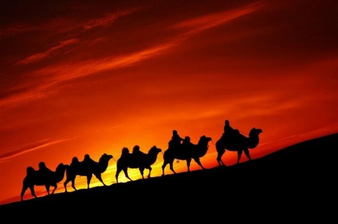 1639113481130333.jpg image005.jpg