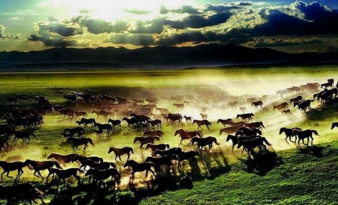 1639113455162756.jpg image007.jpg